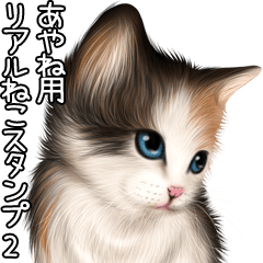 Ayane Real pretty cats 2