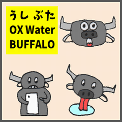 OX Water BUFFALO
