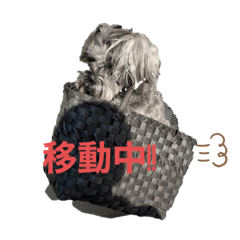 orange_20200223143500