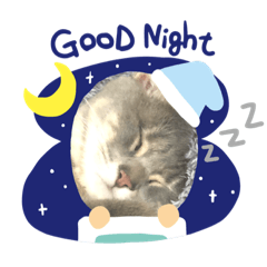 hana_cat