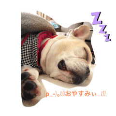 Ringo_20200223165710