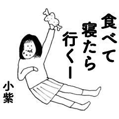 小紫華麗に登場！２
