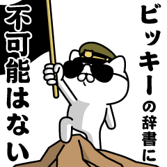 "BIKKIY"name/Military cat