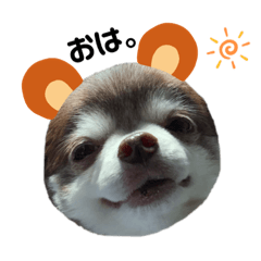 Miu daily life part3