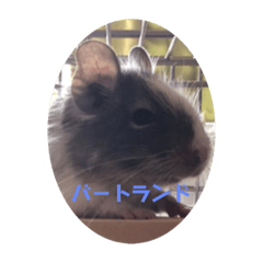 Chisa_20200223194327