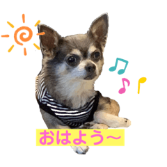 cocoa_20200223215526