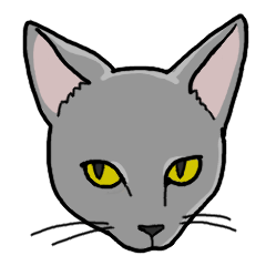 Gray Cat !