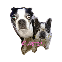 nanana_20200223231126