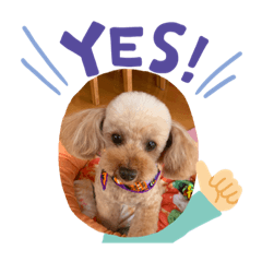 cocoaaa20200223231754