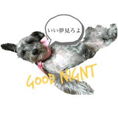 riho_20200223233255