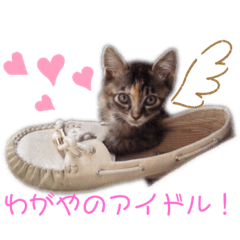 kanae_20200224035921