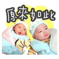 碩廷