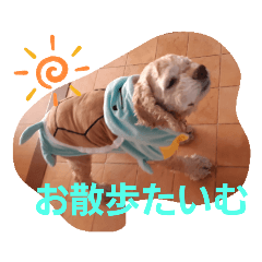 john_20200224084325