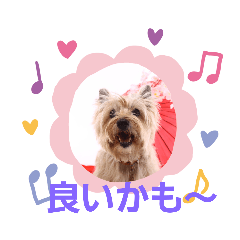 HANA_20200224090443