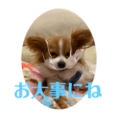 yukari_20200224100006