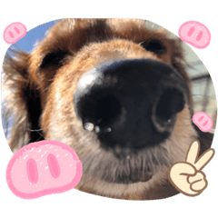 kanae_20200224104719