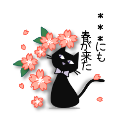 kacco's 黒猫さん【カスタマ】