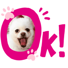 natsumi_20200224135235