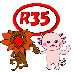 R35 アニマル