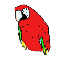 Mr.Parrot.