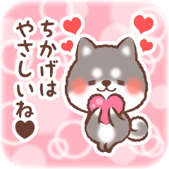 Love Sticker to Chikage from Shiba 3