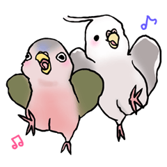 Happy Birds day! Hiyori and Apollo