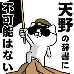 "AMANO"name/Military cat