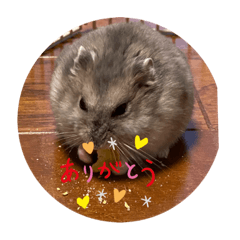 kurumi_20200224200056