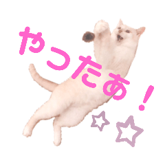 kyotaro_20200224160253