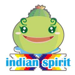 indian spirit 3