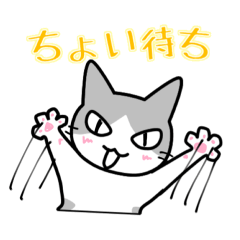 saucy cat 'gureko'