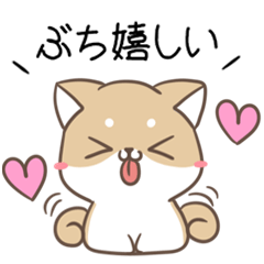 Yamaguchi dialect cat & dog 2