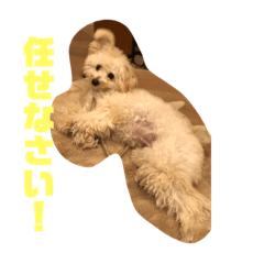 d_20200223213514
