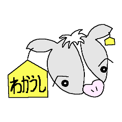 Young cow of Tokachi