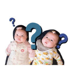 panda_20200224211713