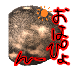 matsu_20200225073129