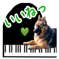 Shepherd-Piano-1