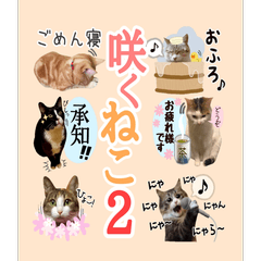 SAKUNEKO sticker 2