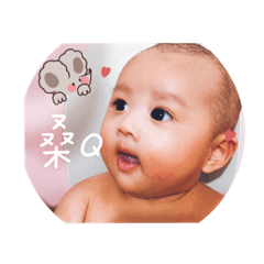 毛妹❤️