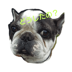 nanana_20200225064402