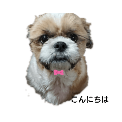 yukari_20200225140522