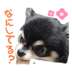 rina_20200225145004