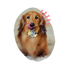 tonton_20200225150415