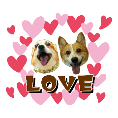 うちの子シリーズ『犬のひな＆しゅり』