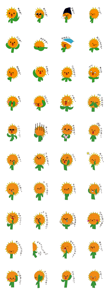 HIMAWARI LION HIMAWARI LION