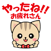 brindled cat brindled cat