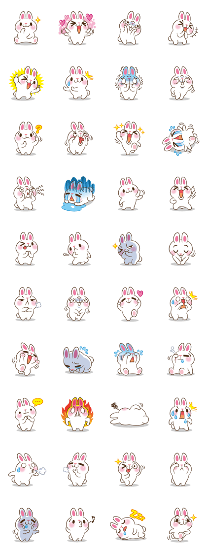 Molly the rabbit Molly the rabbit