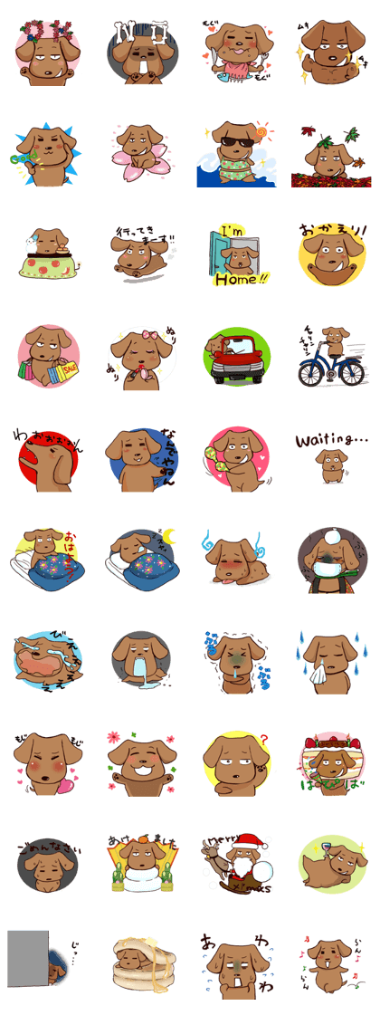 It is Tono of the dachshund It is Tono of the dachshund