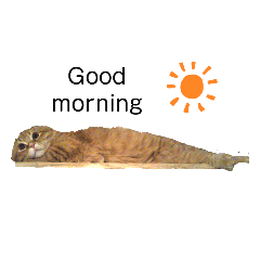 michiko_20200225191258