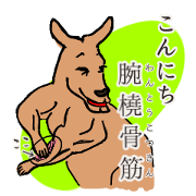 The animal song NEO